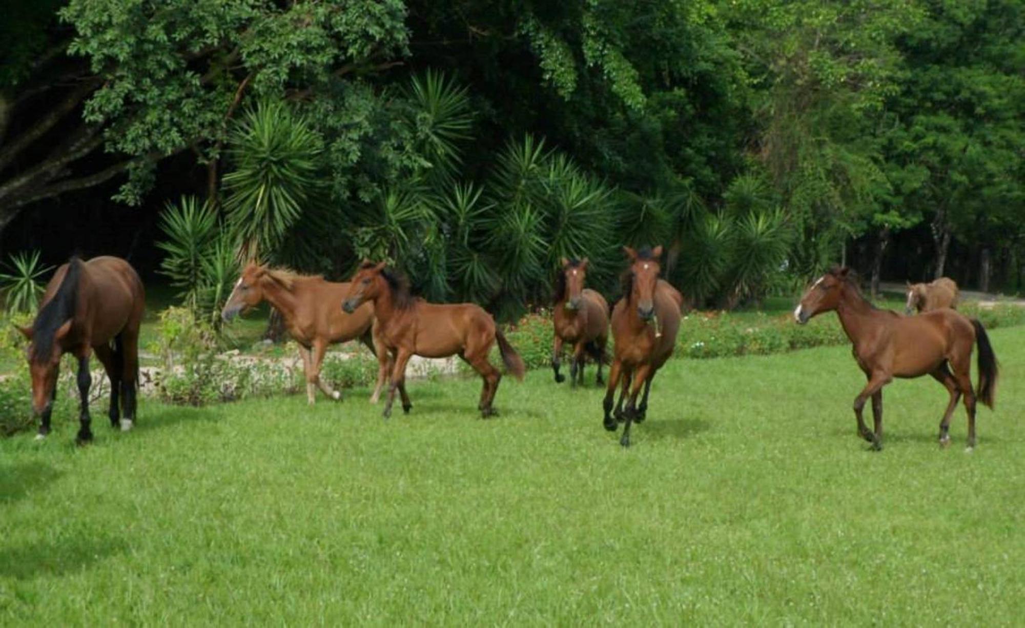 Finca Ixobel Buitenkant foto